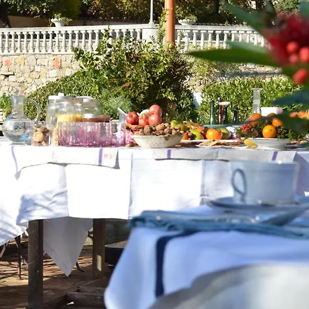 Les Rosees Mougins