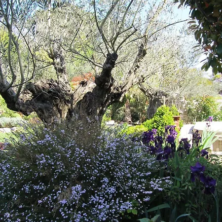 Panzió Les Rosees